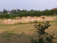 /album/galeria-iii-14-grudzien-2020-r/img-20190627-064818-jpg1/