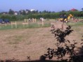 /album/galeria-iii-14-grudzien-2020-r/img-20190625-075340-jpg1/
